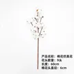 缩略图 3