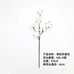 缩略图 7