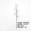 缩略图 5