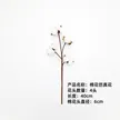 缩略图 8