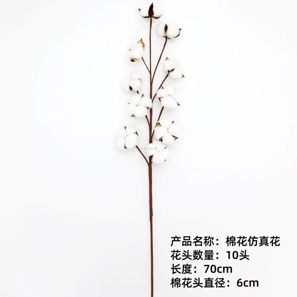 主图 1
