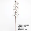 缩略图 1