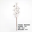 缩略图 2