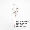 缩略图 6