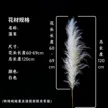 缩略图 9