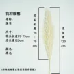 缩略图 7