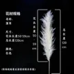 缩略图 8