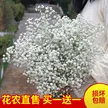 缩略图 7