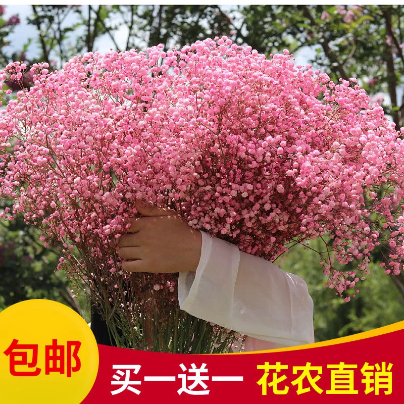 主图 1