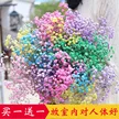 缩略图 6