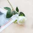 缩略图 6