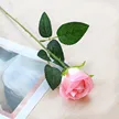 缩略图 7