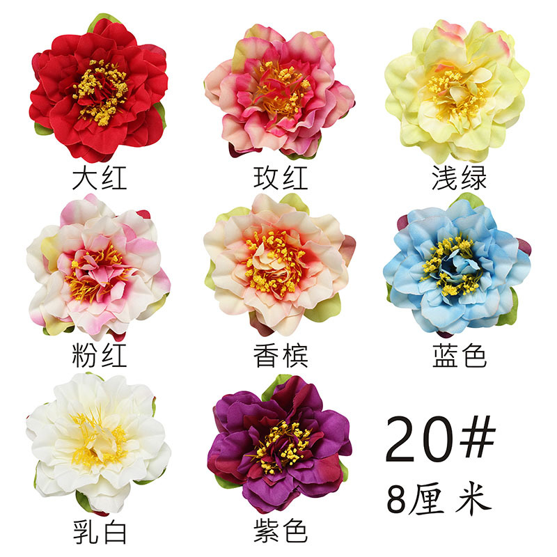 20.jpg