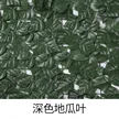 缩略图 7