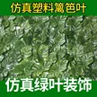 缩略图 2