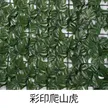 缩略图 8