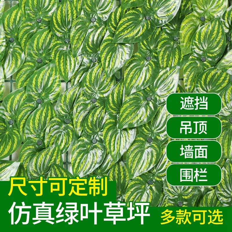 主图 1