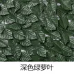 缩略图 5