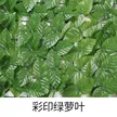 缩略图 9