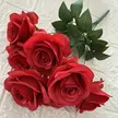 缩略图 6
