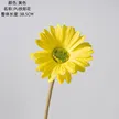 缩略图 7
