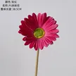缩略图 9