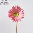 缩略图 6