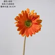 缩略图 8