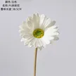 缩略图 5