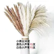 缩略图 8