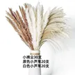 缩略图 5