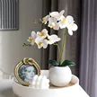 缩略图 3