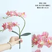 缩略图 5