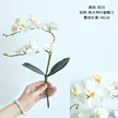 缩略图 7