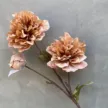 缩略图 5