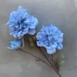 缩略图 8
