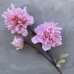 缩略图 6