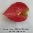 缩略图 8
