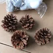 缩略图 8