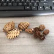 缩略图 5