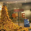 缩略图 2