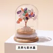 缩略图 5