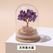 缩略图 7