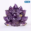 缩略图 6