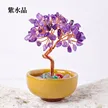 缩略图 7