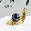 缩略图 5