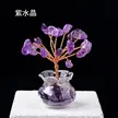 缩略图 6