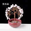 缩略图 8