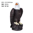 缩略图 5