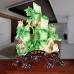 缩略图 5